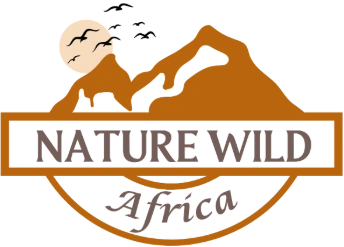 Nature Wild Africa